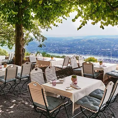 Steigenberger Grandhtl Petersb Hotel Koenigswinter
