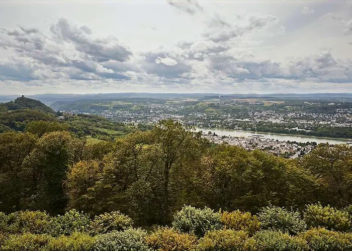 Steigenberger Grandhtl Petersb Hotel Königswinter